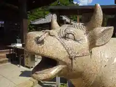三室戸寺の狛犬