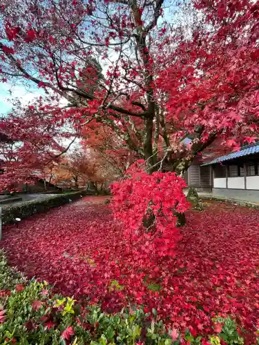 永源寺(滋賀県)