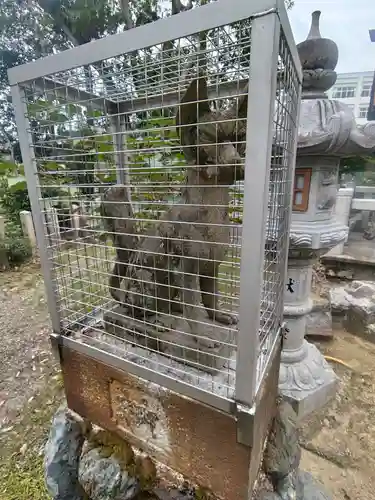 猿田彦神社(滋賀県)