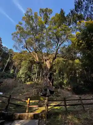 武雄神社の{uncategorized: "未分類", other: "その他", undefined: "問題あり", building: "その他建物", grave: "お墓", sacred_gate: "鳥居", guardian: "狛犬", statue: "像", buddha: "仏像", history: "歴史", nature: "自然", garden: "庭園", animal: "動物", pagoda: "塔", temizu: "手水舎", mountain_gate: "山門・神門", sanctuary: "本殿・本堂", subordinate: "末社・摂社", art: "芸術", scenery: "景色", jizo: "地蔵", ema: "絵馬", goshuin: "御朱印", omikuji: "おみくじ", items: "授与品その他", amulet: "お守り", goshuincho: "御朱印帳", eats: "食事", festival: "お祭り", votive_dance: "神楽", shichigosan: "七五三参", wedding: "結婚式", experience: "体験その他", initially: "初詣", around: "周辺", anti_infection: "感染症対策"}