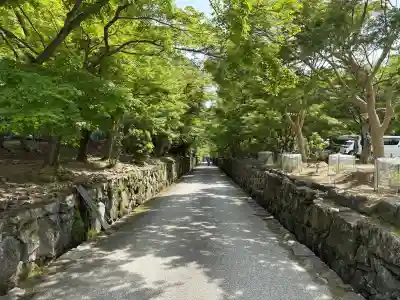 興聖寺（興聖寶林禅寺）の{uncategorized: "未分類", other: "その他", undefined: "問題あり", building: "その他建物", grave: "お墓", sacred_gate: "鳥居", guardian: "狛犬", statue: "像", buddha: "仏像", history: "歴史", nature: "自然", garden: "庭園", animal: "動物", pagoda: "塔", temizu: "手水舎", mountain_gate: "山門・神門", sanctuary: "本殿・本堂", subordinate: "末社・摂社", art: "芸術", scenery: "景色", jizo: "地蔵", ema: "絵馬", goshuin: "御朱印", omikuji: "おみくじ", items: "授与品その他", amulet: "お守り", goshuincho: "御朱印帳", eats: "食事", festival: "お祭り", votive_dance: "神楽", shichigosan: "七五三参", wedding: "結婚式", experience: "体験その他", initially: "初詣", around: "周辺", anti_infection: "感染症対策"}