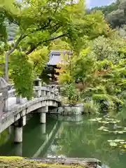 禅林寺（永観堂）(京都府)