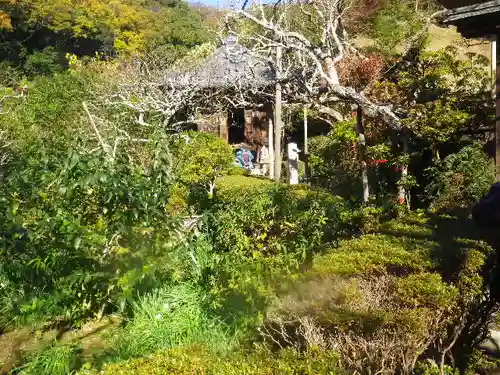 瑞泉寺の庭園