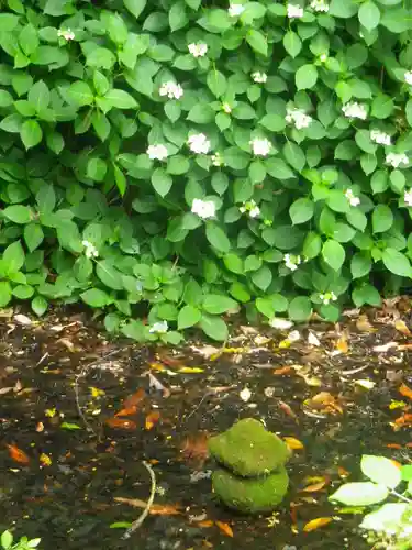 蛇苦止明神（蛇苦止堂）の自然