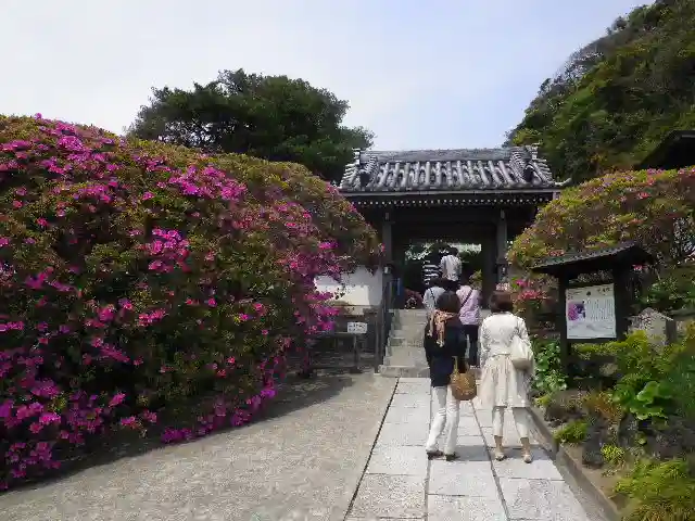 安養院 (田代寺)の周辺