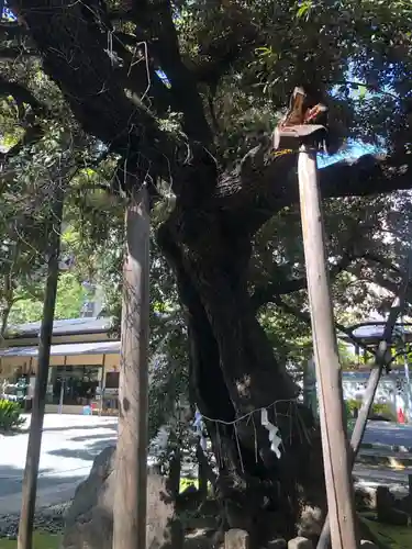 金王八幡宮(東京都)