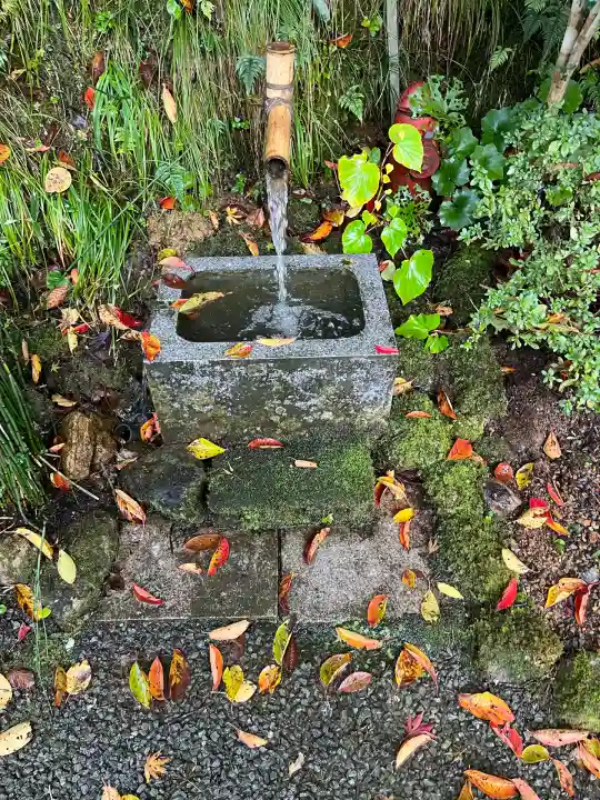 妙楽寺(福井県)
