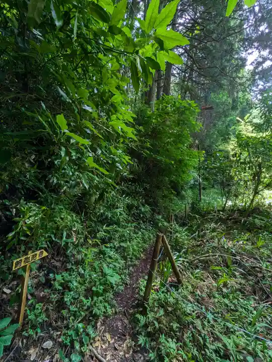 阿弥陀寺の周辺