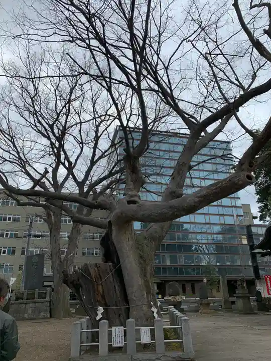 阿邪訶根神社の自然