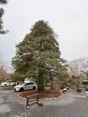玉泉寺の{uncategorized: "未分類", other: "その他", undefined: "問題あり", building: "その他建物", grave: "お墓", sacred_gate: "鳥居", guardian: "狛犬", statue: "像", buddha: "仏像", history: "歴史", nature: "自然", garden: "庭園", animal: "動物", pagoda: "塔", temizu: "手水舎", mountain_gate: "山門・神門", sanctuary: "本殿・本堂", subordinate: "末社・摂社", art: "芸術", scenery: "景色", jizo: "地蔵", ema: "絵馬", goshuin: "御朱印", omikuji: "おみくじ", items: "授与品その他", amulet: "お守り", goshuincho: "御朱印帳", eats: "食事", festival: "お祭り", votive_dance: "神楽", shichigosan: "七五三参", wedding: "結婚式", experience: "体験その他", initially: "初詣", around: "周辺", anti_infection: "感染症対策"}