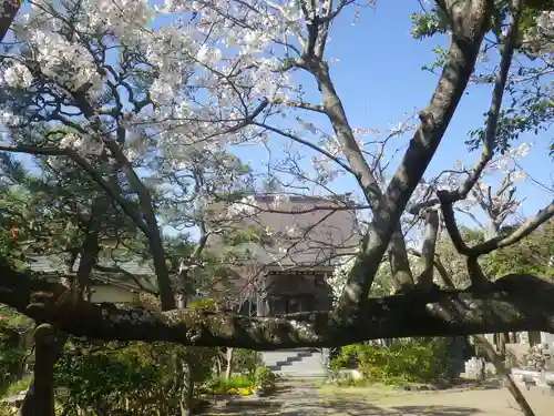 教恩寺の自然