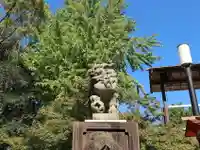 八坂神社(祇園さん)の狛犬