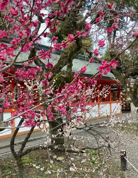 北野天満宮(京都府)