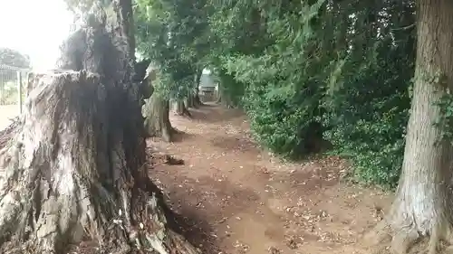 八幡神社(茨城県)