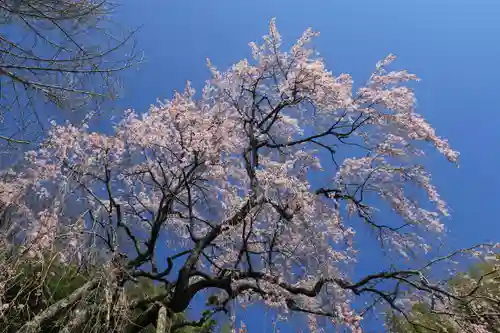 延命寺の庭園