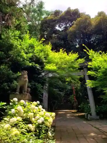 赤坂氷川神社(東京都)