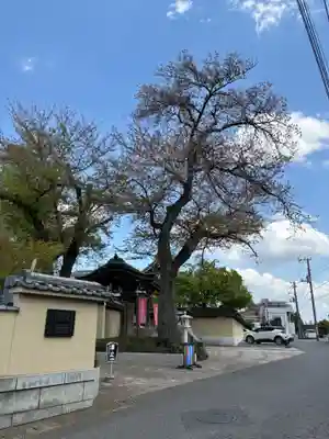 大勝院(千葉県)