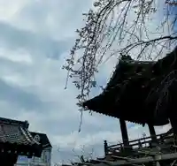 秩父札所十三番 慈眼寺のその他建物