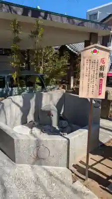 川越八幡宮(埼玉県)