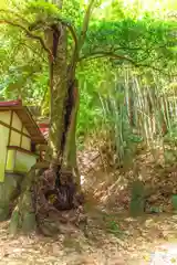 鹿島神社(宮城県)