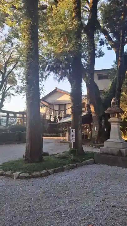 若一王子宮(高知県)