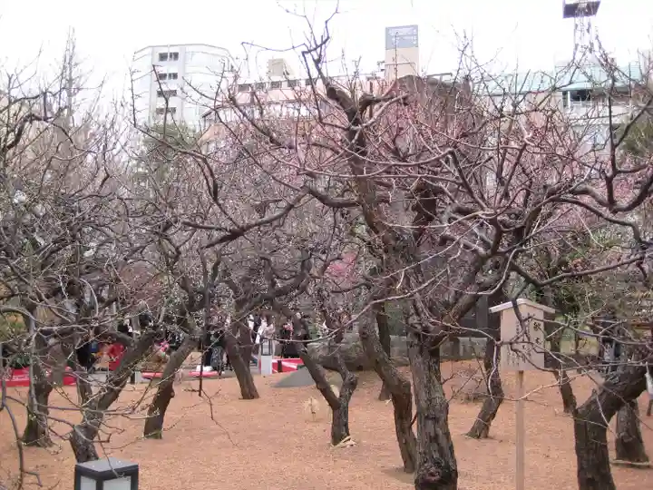湯島天満宮(東京都)