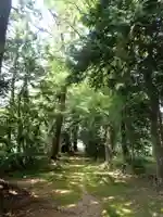 大膳神社の自然