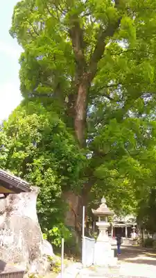 細江神社(静岡県)