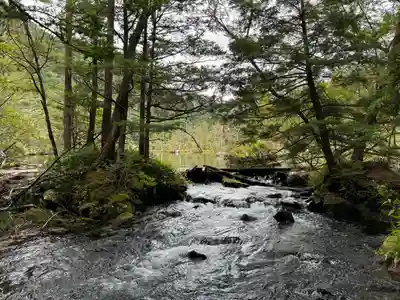 穂高神社奥宮の自然