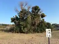 妙見宮(千葉県)