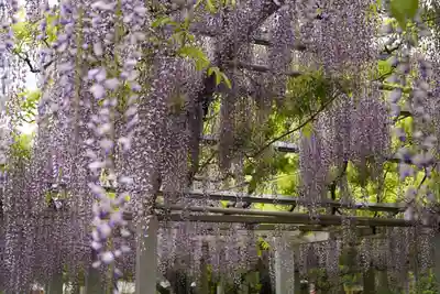 三大神社(滋賀県)
