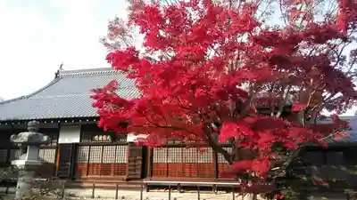 源光庵のその他建物