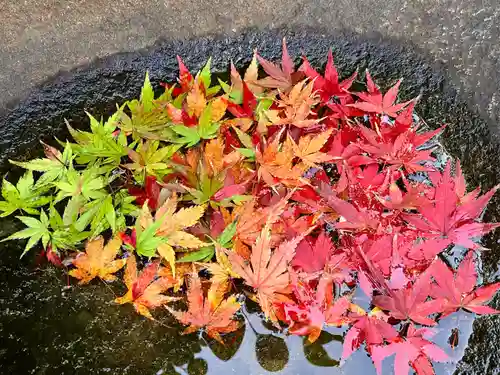 真言宗　善通寺派　薬王寺(香川県)