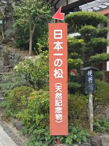 善峯寺の{uncategorized: "未分類", other: "その他", undefined: "問題あり", building: "その他建物", grave: "お墓", sacred_gate: "鳥居", guardian: "狛犬", statue: "像", buddha: "仏像", history: "歴史", nature: "自然", garden: "庭園", animal: "動物", pagoda: "塔", temizu: "手水舎", mountain_gate: "山門・神門", sanctuary: "本殿・本堂", subordinate: "末社・摂社", art: "芸術", scenery: "景色", jizo: "地蔵", ema: "絵馬", goshuin: "御朱印", omikuji: "おみくじ", items: "授与品その他", amulet: "お守り", goshuincho: "御朱印帳", eats: "食事", festival: "お祭り", votive_dance: "神楽", shichigosan: "七五三参", wedding: "結婚式", experience: "体験その他", initially: "初詣", around: "周辺", anti_infection: "感染症対策"}