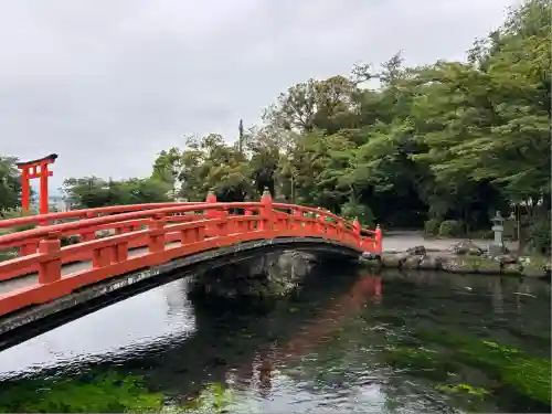 富士山本宮浅間大社(静岡県)
