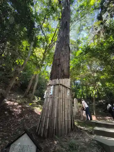 星田妙見宮(大阪府)