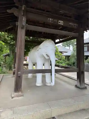 観音寺(埼玉県)
