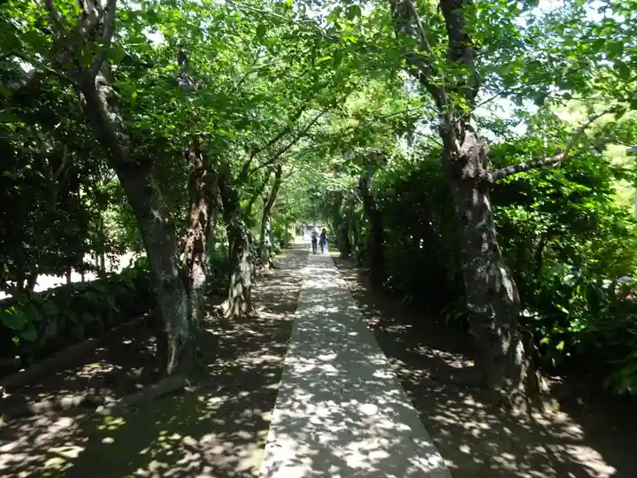 極楽寺(霊鷲山感應院極楽律寺)(神奈川県)