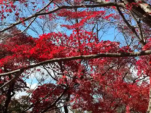 足利織姫神社(栃木県)