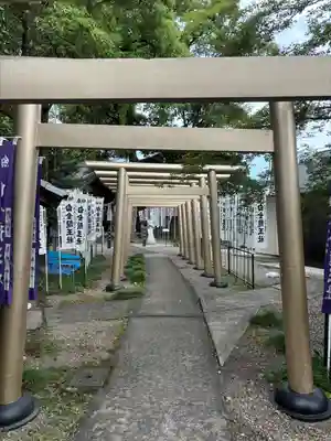 白金龍王社(愛知県)