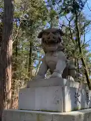 日枝神社の狛犬