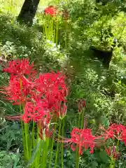 国宝 大法寺の自然