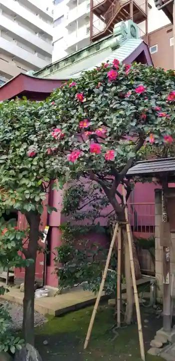 笠間稲荷神社 東京別社(東京都)