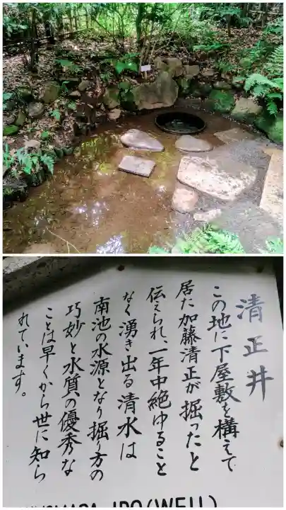 明治神宮(東京都)
