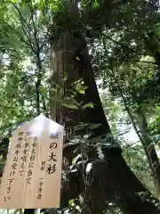 丹生川上神社（中社）(奈良県)