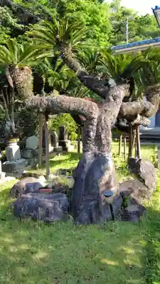 珠還寺(静岡県)