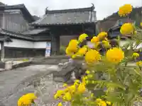 観音寺(滋賀県)