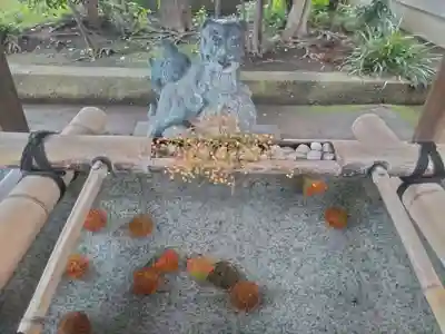 居木神社の手水舎