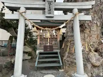 槻井泉神社の本殿・本堂