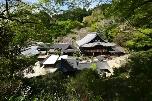 岡寺（龍蓋寺）(奈良県)
